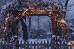 Holiday-Christmas 50-05-01826