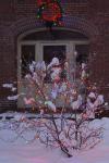 Holiday-Christmas 50-05-01827