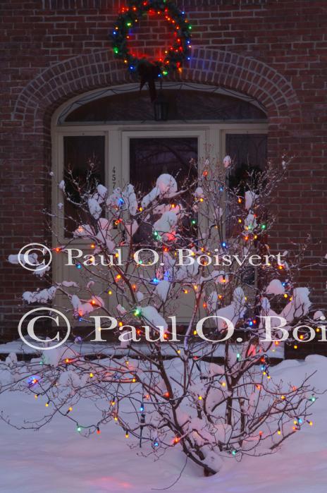 Holiday-Christmas 50-05-01827