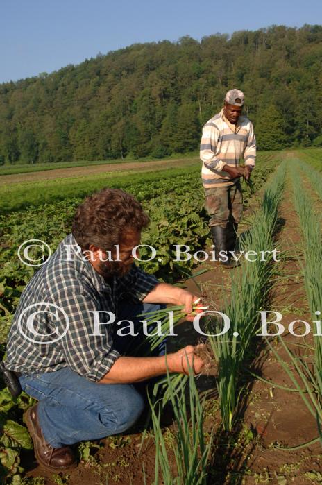 Farm-Garden 30-15-00759