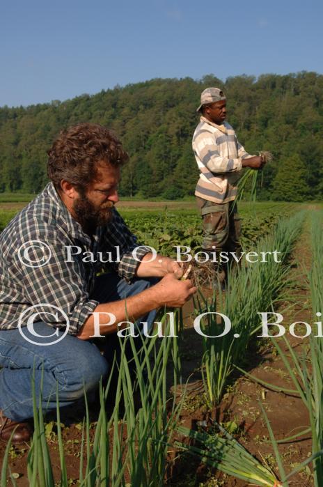 Farm-Garden 30-15-00761