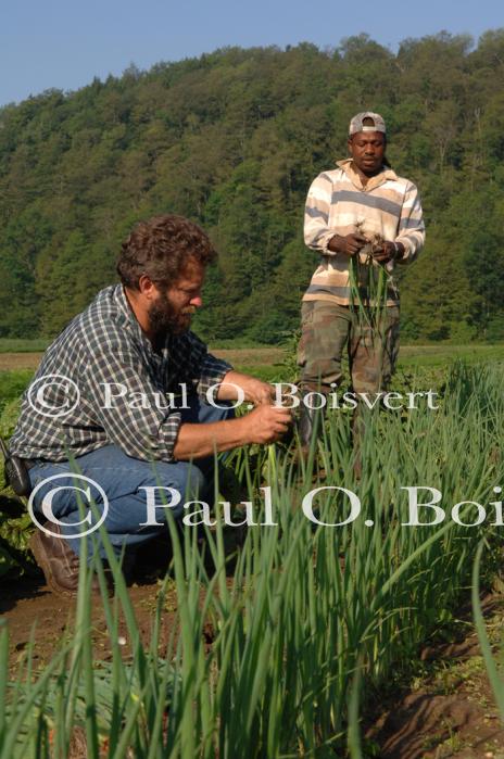 Farm-Garden 30-15-00770