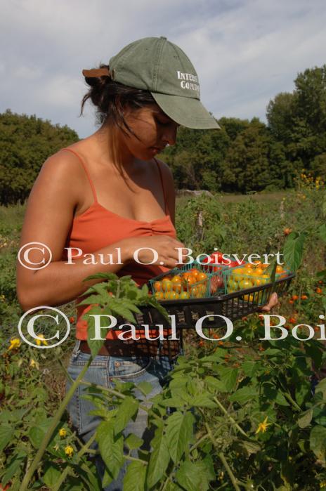 Farm-Garden 30-15-00781