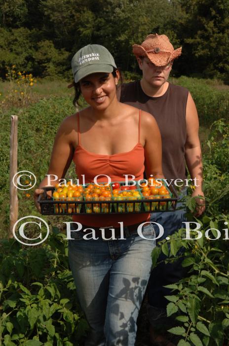 Farm-Garden 30-15-00791