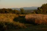 Farm-Shelburne Farms 30-25-01892