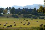 Farm-Shelburne Farms 30-25-01895