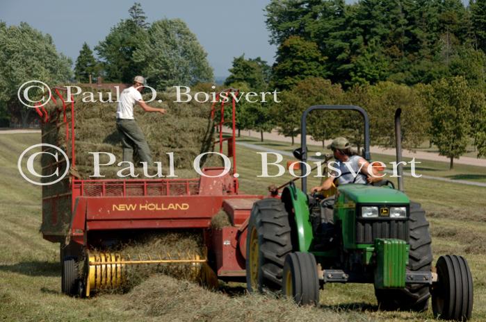 Farm-Shelburne Farms 30-25-01897