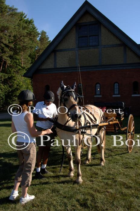 Farm-Shelburne Farms 30-25-01901