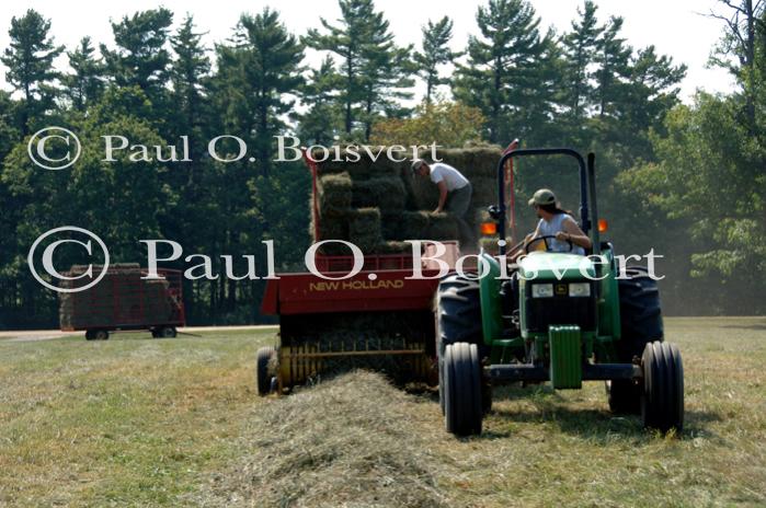 Farm-Shelburne Farms 30-25-01203