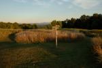 Farm-Shelburne Farms 30-25-01904