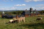 Farm-Shelburne Farms 30-25-01908