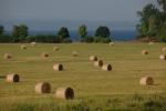 Farm-Shelburne Farms 30-25-01951