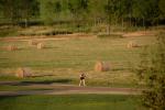 Farm-Shelburne Farms 30-25-01977