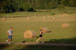 Farm-Shelburne Farms 30-25-01978