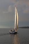 Sports-Sail 75-45-08873