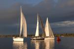 Sports-Sail 75-45-08876