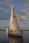 Sports-Sail 75-45-08879