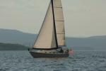 Sports-Sail 75-45-08885