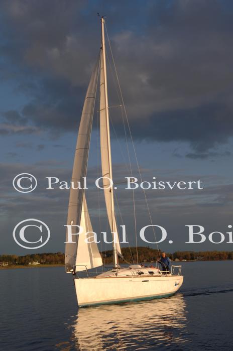 Sports-Sail 75-45-08904