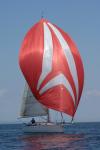 Sports-Sail 75-45-08914