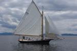 Sports-Sail 75-45-08926