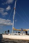 Sports-Sail 75-45-08927