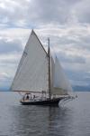 Sports-Sail 75-45-08929