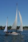 Sports-Sail 75-45-08938