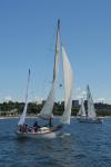 Sports-Sail 75-45-08939