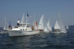 Sports-Sail 75-45-08955