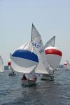 Sports-Sail 75-45-08979