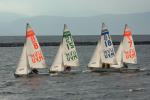 Sports-Sail 75-45-08989