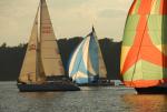 Sports-Sail 75-45-09031