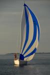 Sports-Sail 75-45-09039