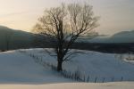 Scenery-Winter 70-08-00811