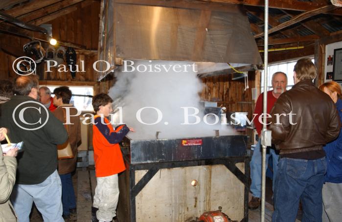 Maple Sugaring 30-20-11757