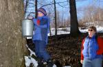 Maple Sugaring 30-20-11766