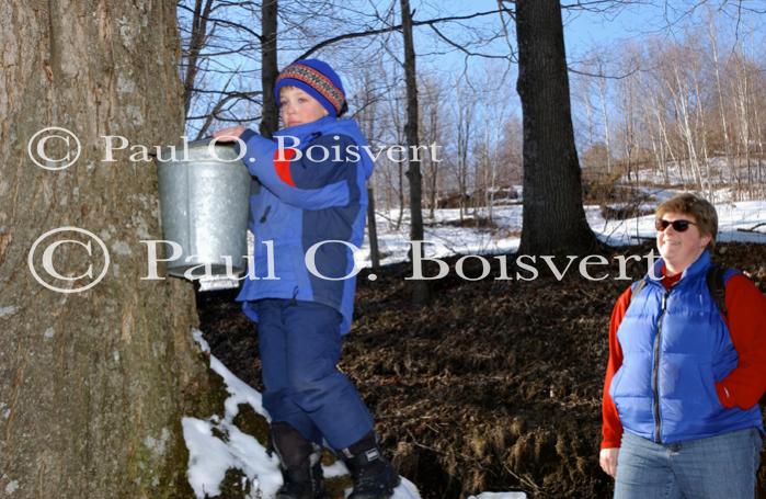 Maple Sugaring 30-20-11766