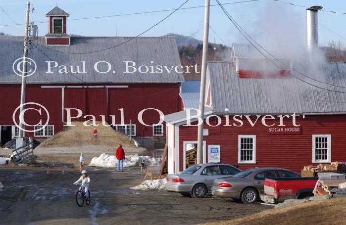 Maple Sugaring 30-20-11780