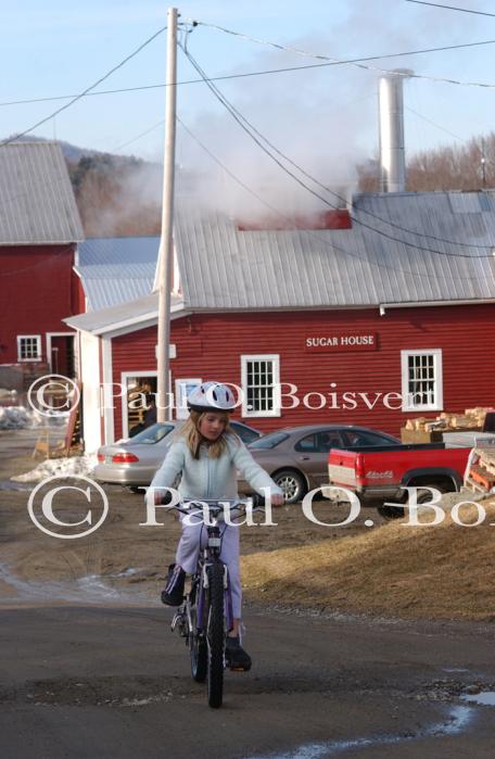 Maple Sugaring 30-20-11781