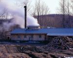 Maple Sugaring 30-20-11804