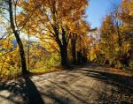 Scenery-Fall 70-05-14202