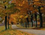 Scenery-Fall 70-05-14212