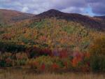 Scenery-Fall 70-05-14238