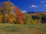 Scenery-Fall 70-05-14239