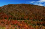 Scenery-Fall 70-05-14255