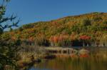 Scenery-Fall 70-05-14264