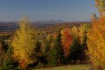 Scenery-Fall 70-05-14295