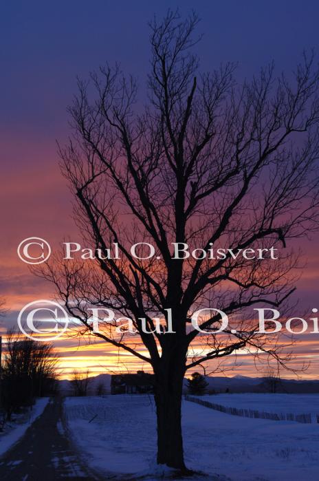 Sunset-Winter 80-15-01242