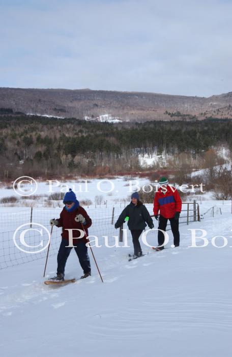 Sports-Snowshoe 75-58-00187